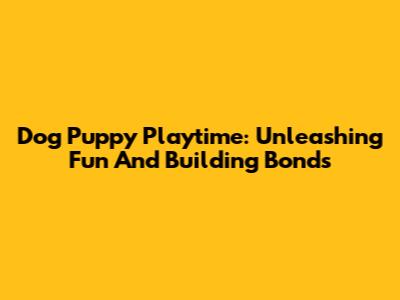 Dog Puppy Playtime: Unleashing Fun And Building Bonds
