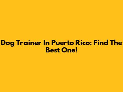 Dog Trainer In Puerto Rico: Find The Best One!