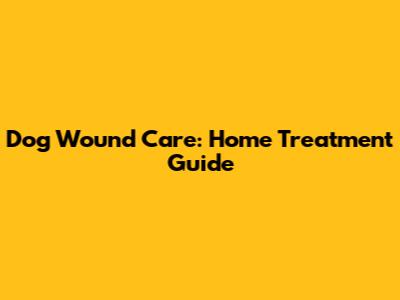 Dog Wound Care: Home Treatment Guide