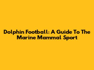 Dolphin Football: A Guide To The Marine Mammal Sport