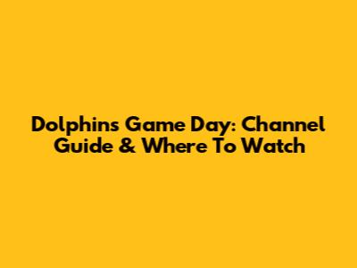 Dolphins Game Day: Channel Guide & Where To Watch