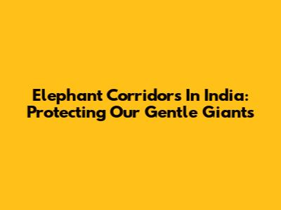 Elephant Corridors In India: Protecting Our Gentle Giants