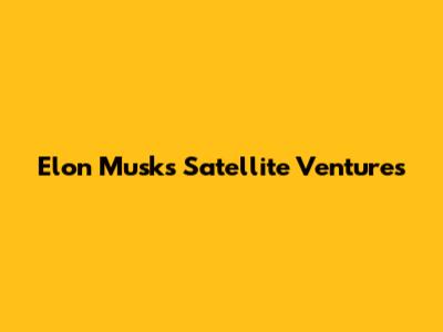Elon Musk's Satellite Ventures