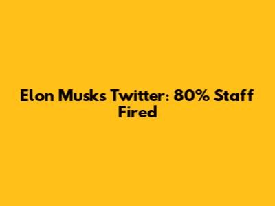 Elon Musk's Twitter: 80% Staff Fired