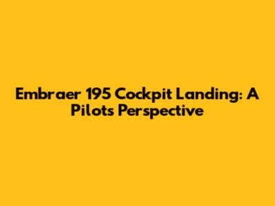 Embraer 195 Cockpit Landing: A Pilot's Perspective