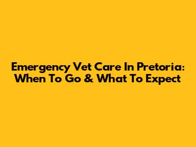 Emergency Vet Care In Pretoria: When To Go & What To Expect