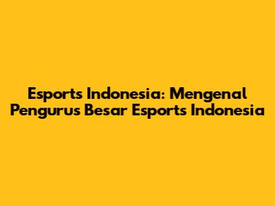 Esports Indonesia: Mengenal Pengurus Besar Esports Indonesia