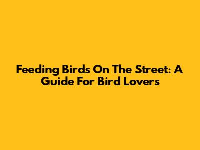 Feeding Birds On The Street: A Guide For Bird Lovers