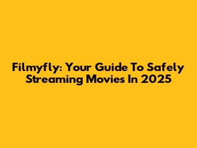 Filmyfly: Your Guide To Safely Streaming Movies In 2025