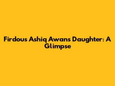 Firdous Ashiq Awan's Daughter: A Glimpse