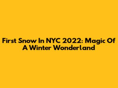 First Snow In NYC 2022: Magic Of A Winter Wonderland
