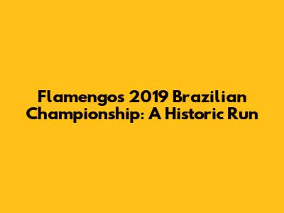 Flamengo's 2019 Brazilian Championship: A Historic Run
