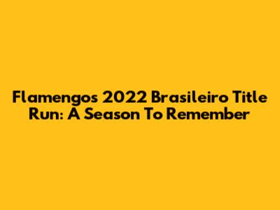 Flamengo's 2022 Brasileiro Title Run: A Season To Remember