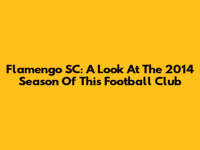Flamengo SC: A Look At The 2014 Season Of This Football Club