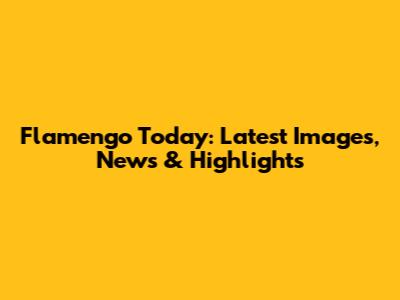 Flamengo Today: Latest Images, News & Highlights