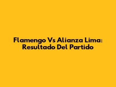 Flamengo Vs Alianza Lima: Resultado Del Partido