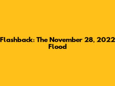 Flashback: The November 28, 2022 Flood