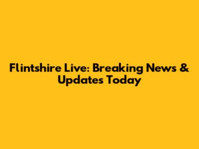 Flintshire Live: Breaking News & Updates Today