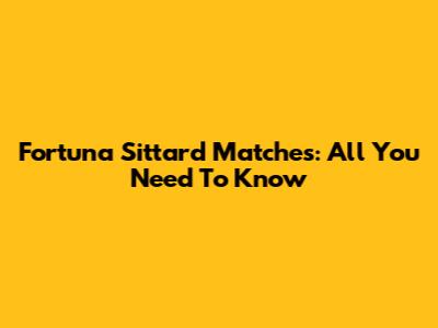 Fortuna Sittard Matches: All You Need To Know