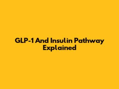 GLP-1 And Insulin Pathway Explained