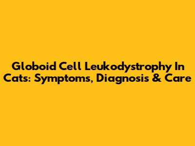 Globoid Cell Leukodystrophy In Cats: Symptoms, Diagnosis & Care