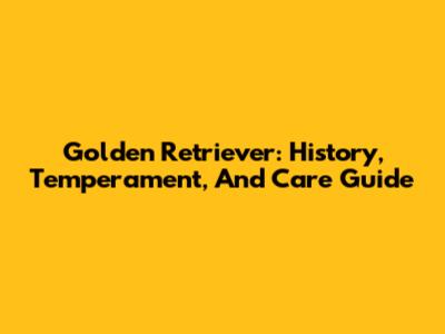 Golden Retriever: History, Temperament, And Care Guide