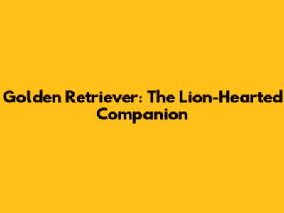 Golden Retriever: The Lion-Hearted Companion
