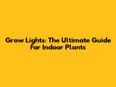 Grow Lights: The Ultimate Guide For Indoor Plants