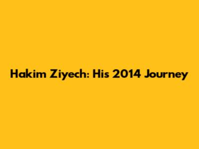 Hakim Ziyech: His 2014 Journey