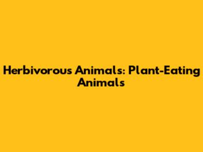 Herbivorous Animals: Plant-Eating Animals