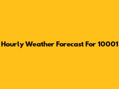 Hourly Weather Forecast For 10001