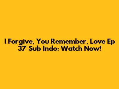 I Forgive, You Remember, Love Ep 37 Sub Indo: Watch Now!