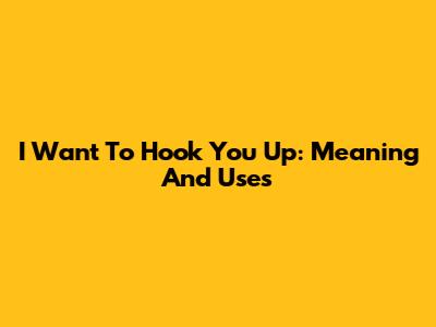 I Want To Hook You Up: Meaning And Uses