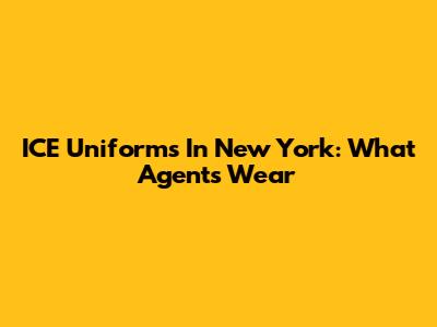 ICE Uniforms In New York: What Agents Wear