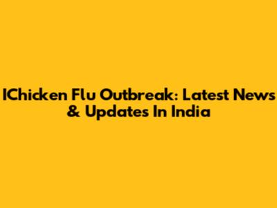 IChicken Flu Outbreak: Latest News & Updates In India