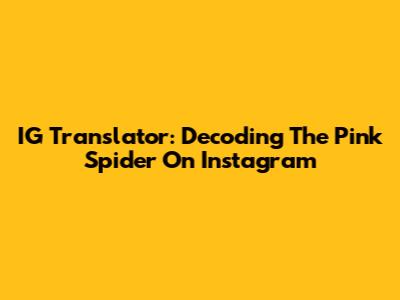 IG Translator: Decoding The Pink Spider On Instagram