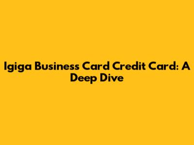 Igiga Business Card Credit Card: A Deep Dive
