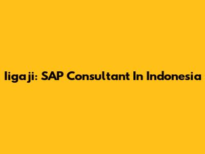 Iigaji: SAP Consultant In Indonesia