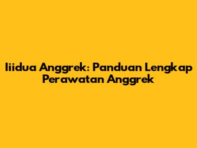 Iiidua Anggrek: Panduan Lengkap Perawatan Anggrek