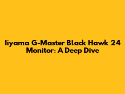 Iiyama G-Master Black Hawk 24" Monitor: A Deep Dive