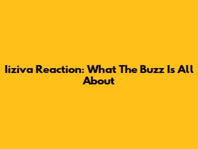 Iiziva Reaction: What The Buzz Is All About
