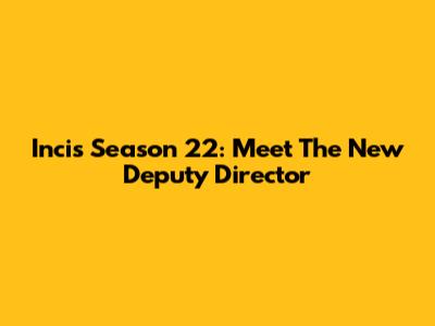 Incis Season 22: Meet The New Deputy Director