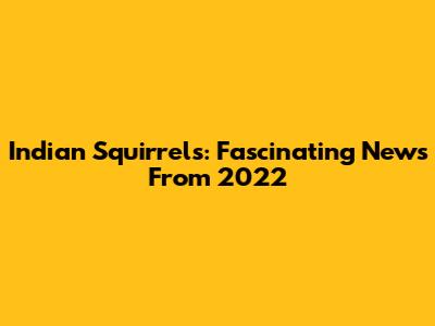 Indian Squirrels: Fascinating News From 2022