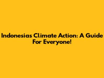 Indonesia's Climate Action: A Guide For Everyone!