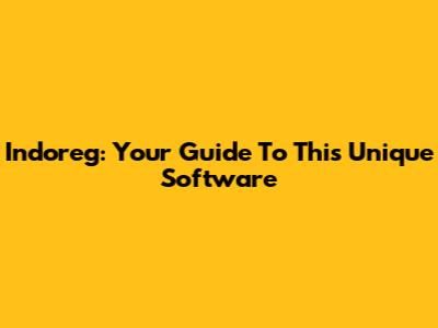 Indoreg: Your Guide To This Unique Software