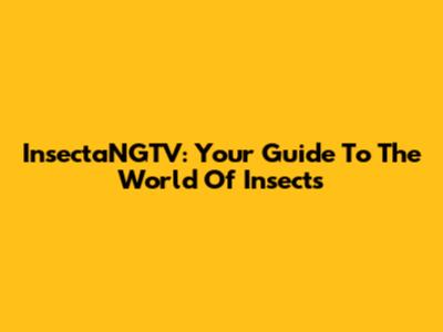 InsectaNGTV: Your Guide To The World Of Insects