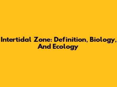 Intertidal Zone: Definition, Biology, And Ecology