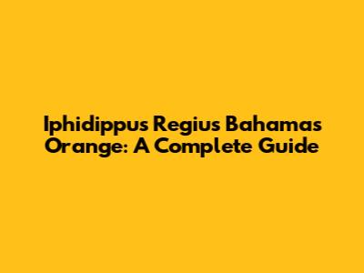 Iphidippus Regius Bahamas Orange: A Complete Guide