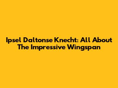 Ipsel Daltonse Knecht: All About The Impressive Wingspan