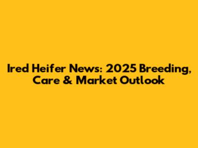 Ired Heifer News: 2025 Breeding, Care & Market Outlook